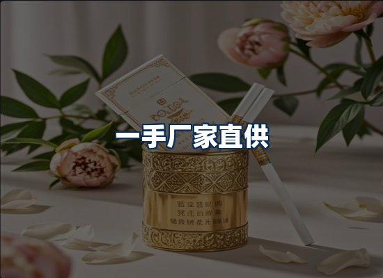 专业团队办公环境